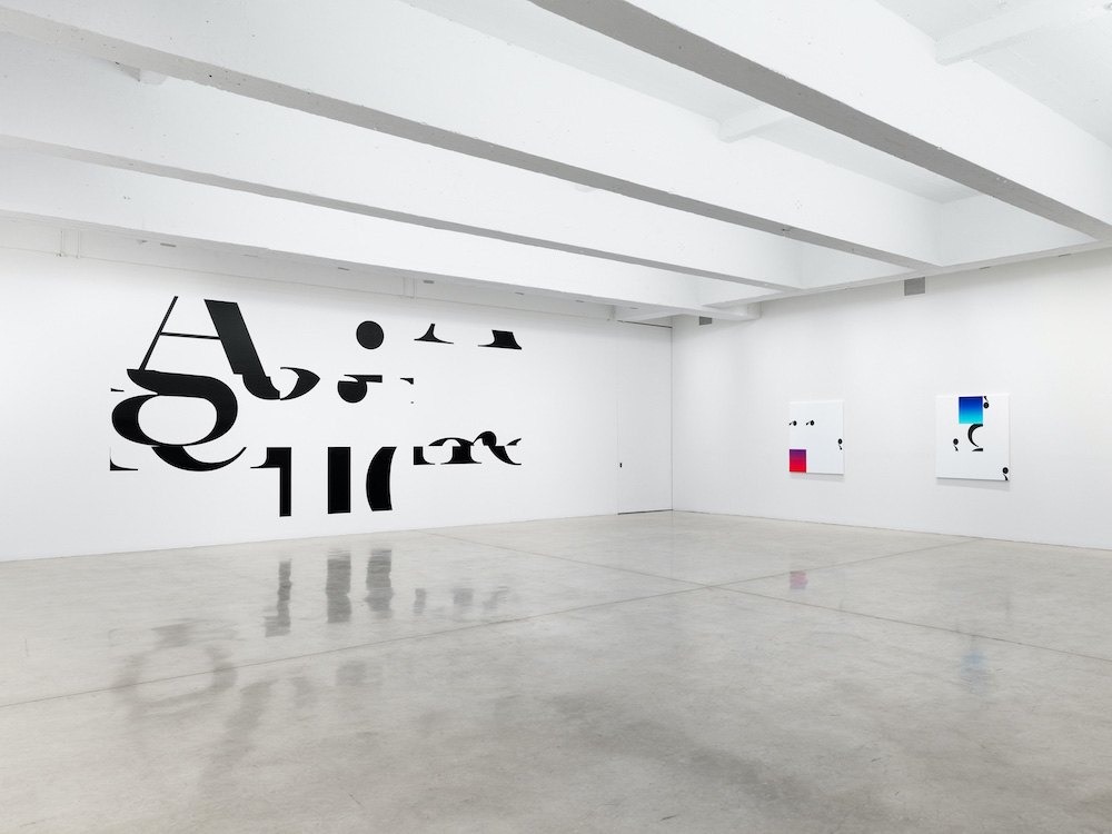 Haim Steinbach Tanya Bonakdar Gallery 