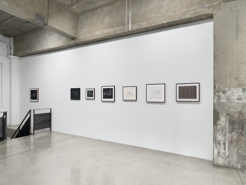 Mark Dion Tanya Bonakdar Gallery 