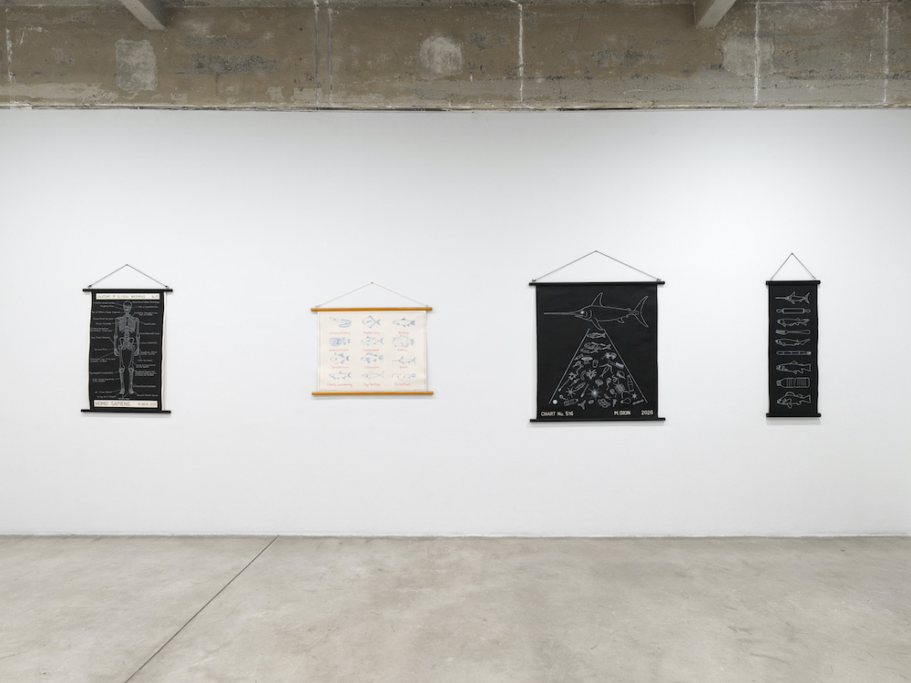 Mark Dion Tanya Bonakdar Gallery 