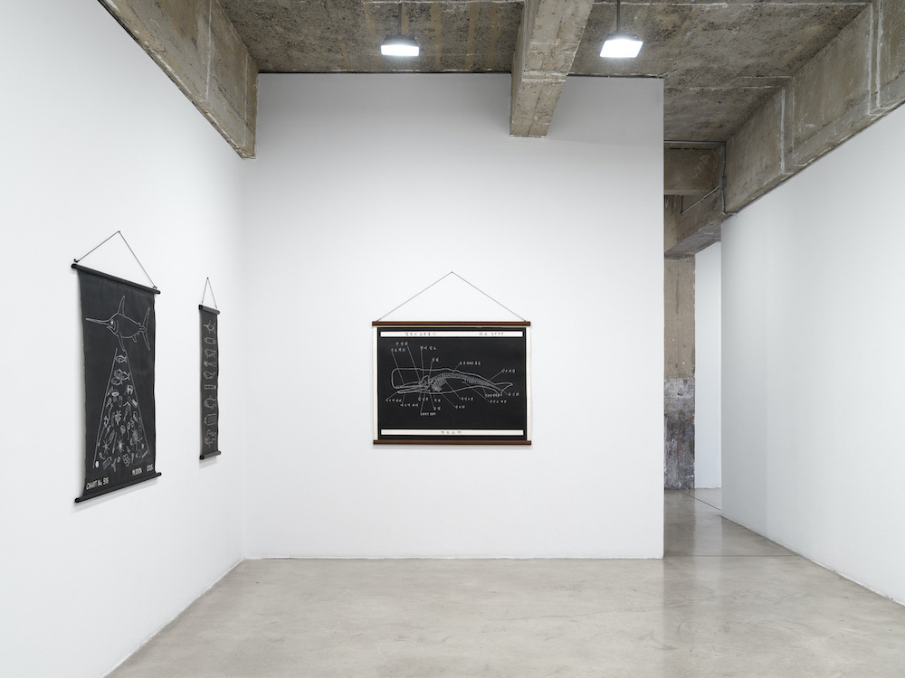 Mark Dion Tanya Bonakdar Gallery 