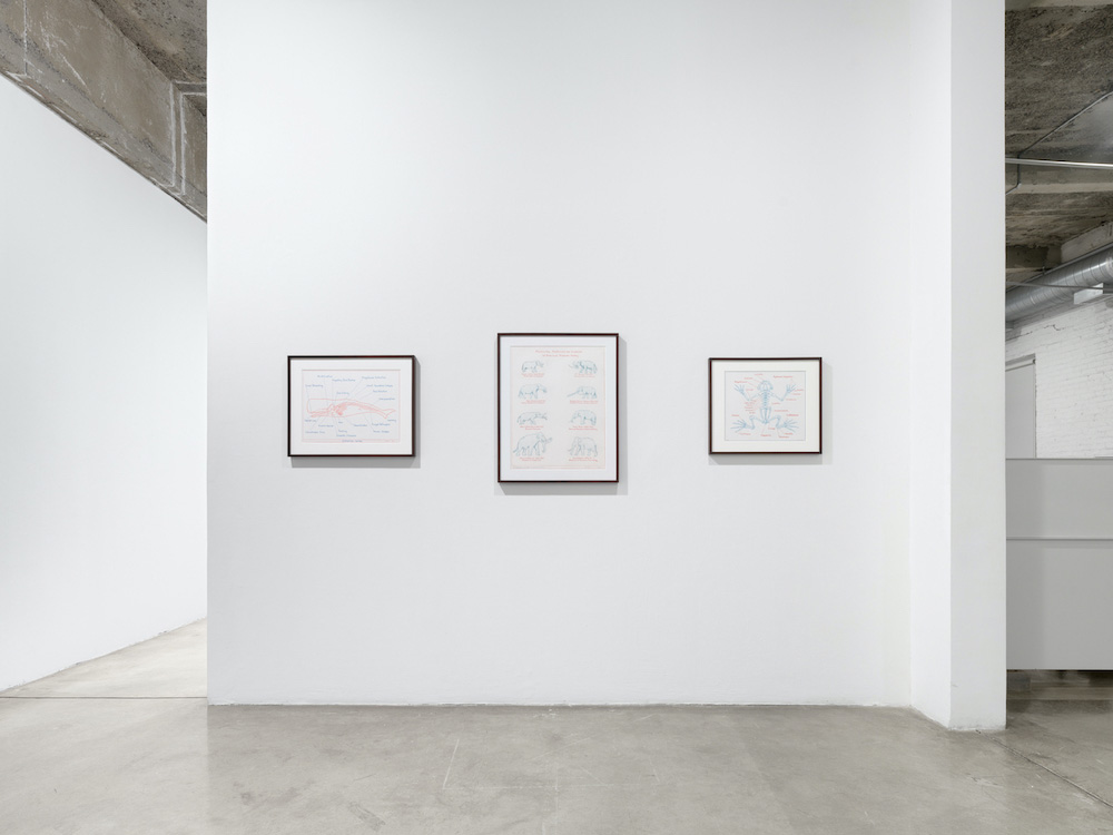 Mark Dion Tanya Bonakdar Gallery 