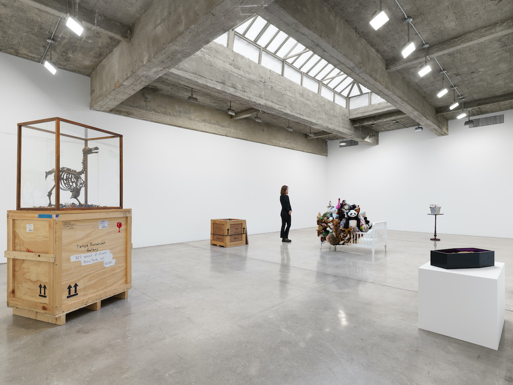 Mark Dion Tanya Bonakdar Gallery 