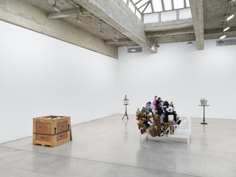 Mark Dion Tanya Bonakdar Gallery 