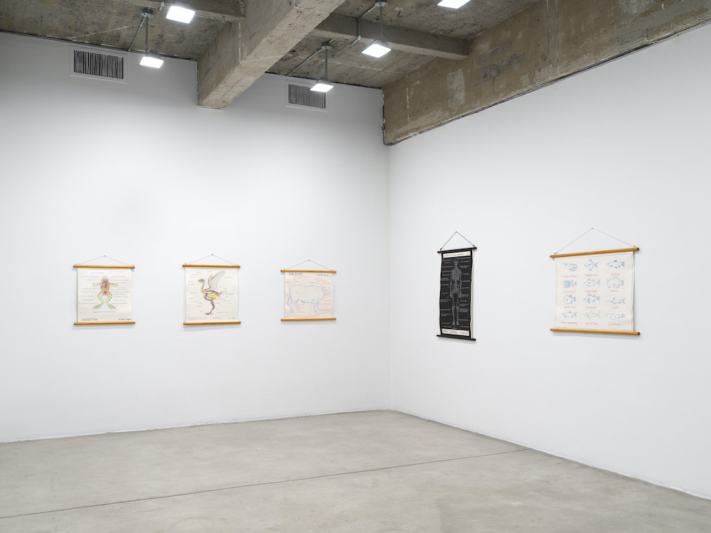 Mark Dion Tanya Bonakdar Gallery 