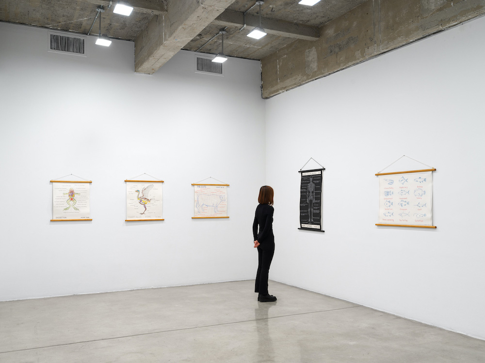 Mark Dion Tanya Bonakdar Gallery 