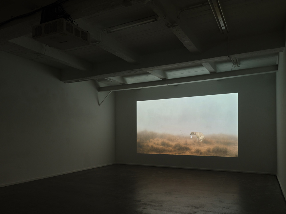 Antoine Roegiers Keteleer Gallery 