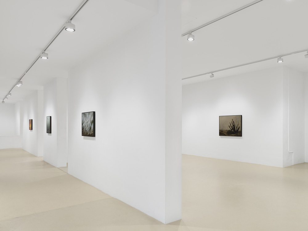 Antoine Roegiers Keteleer Gallery 