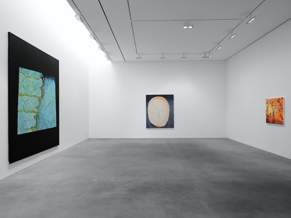 Luc Tuymans David Zwirner 