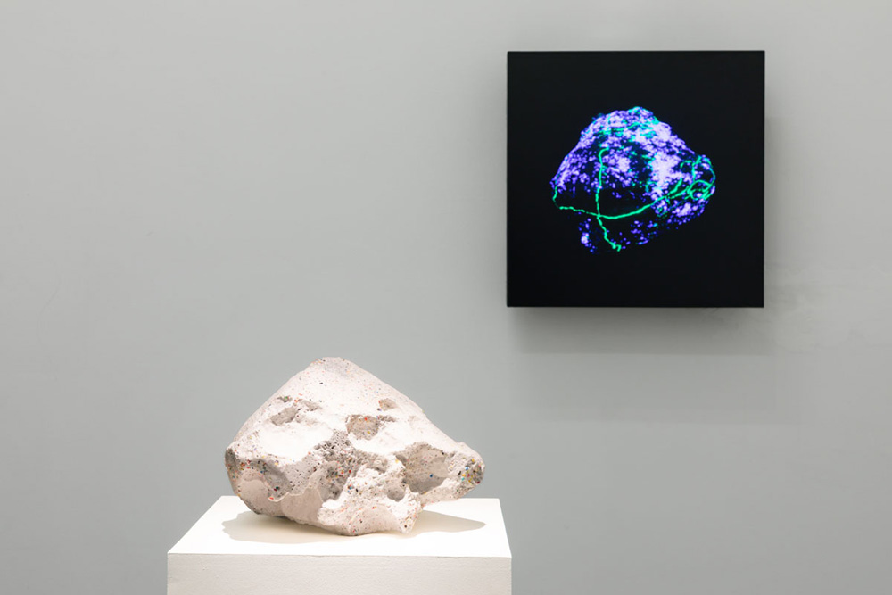 Agnieszka Kurant Lia Rumma Gallery 