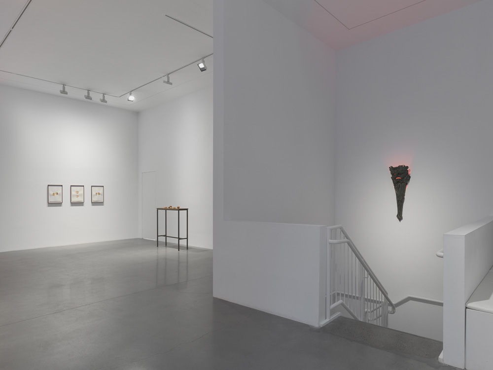 Ali Cherri Almine Rech 