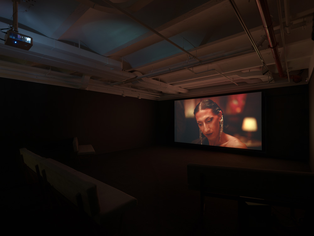 Ali Cherri Almine Rech 