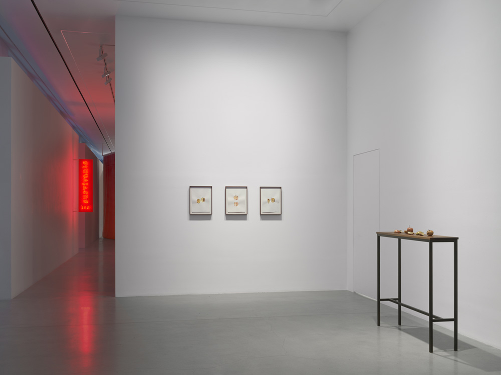 Ali Cherri Almine Rech 