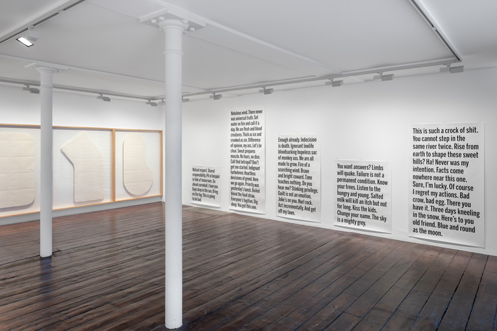 Janice Kerbel greengrassi 