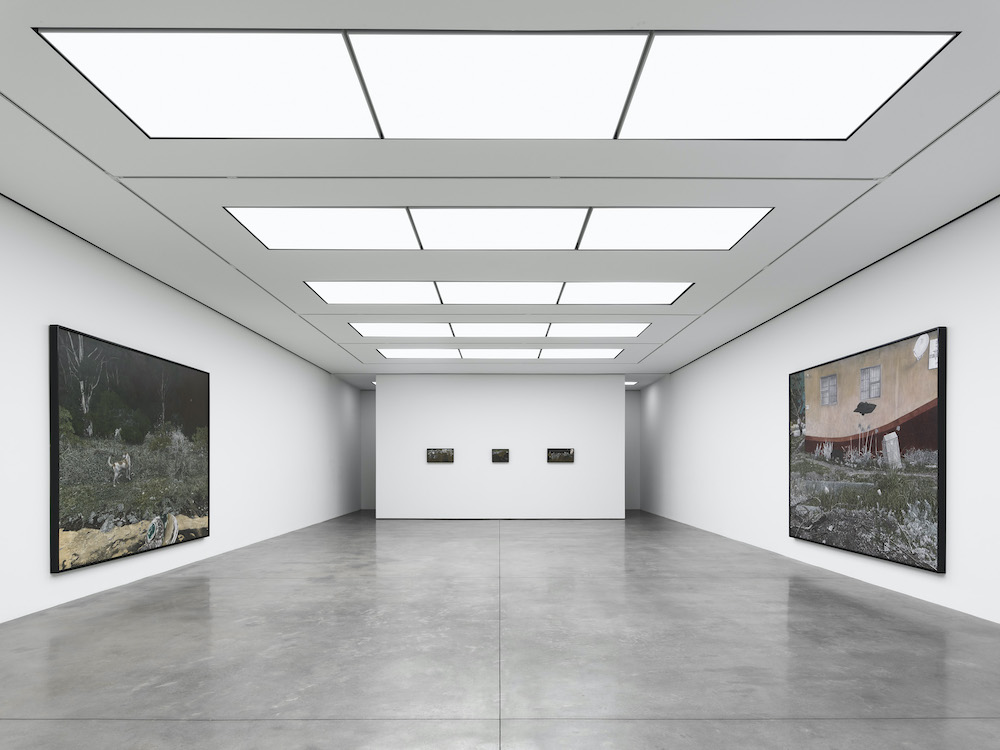 Cinga Samson White Cube 