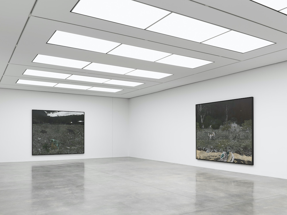 Cinga Samson White Cube 