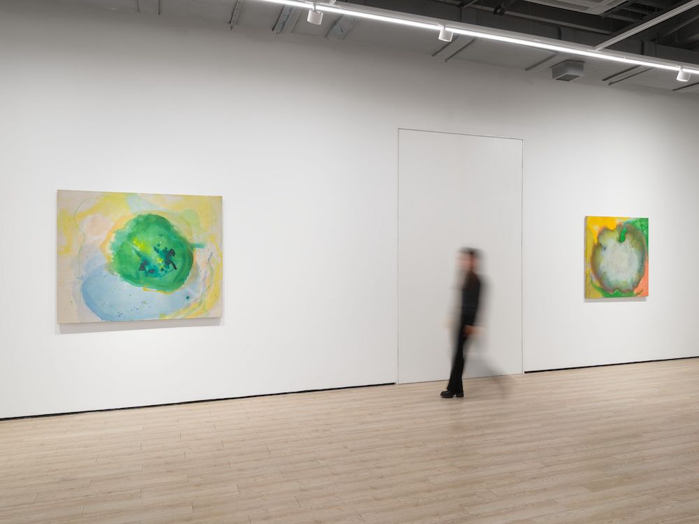 Vivian Springford Almine Rech 