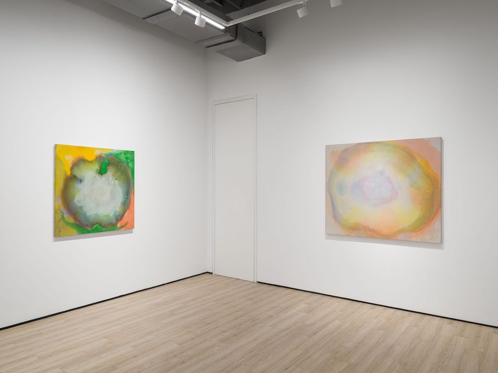 Vivian Springford Almine Rech 