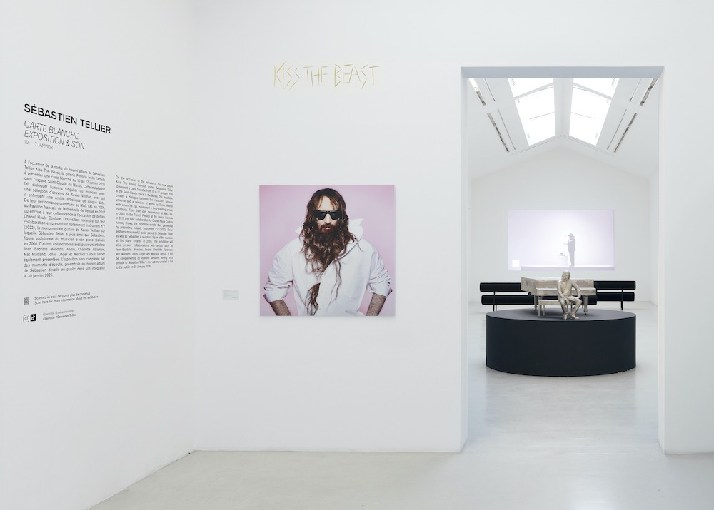 Sébastien Tellier Perrotin 