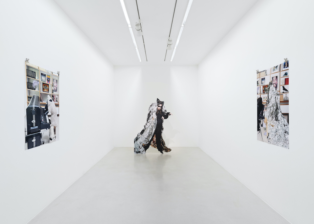 Sébastien Tellier Perrotin 