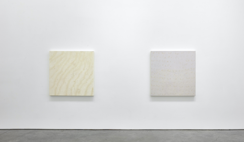 Pier Paolo Calzolari Marianne Boesky Gallery 