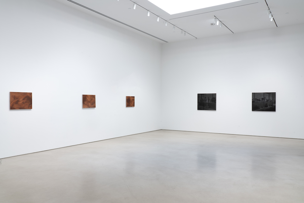 Troy Brauntuch Petzel Gallery 