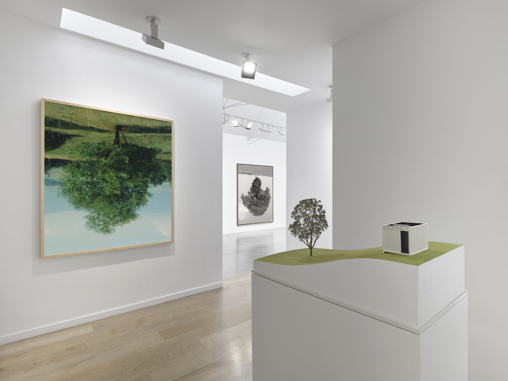 Rodney Graham Lisson Gallery 