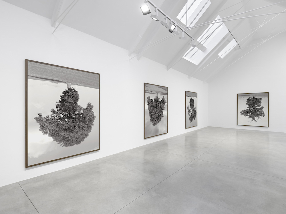 Rodney Graham Lisson Gallery 