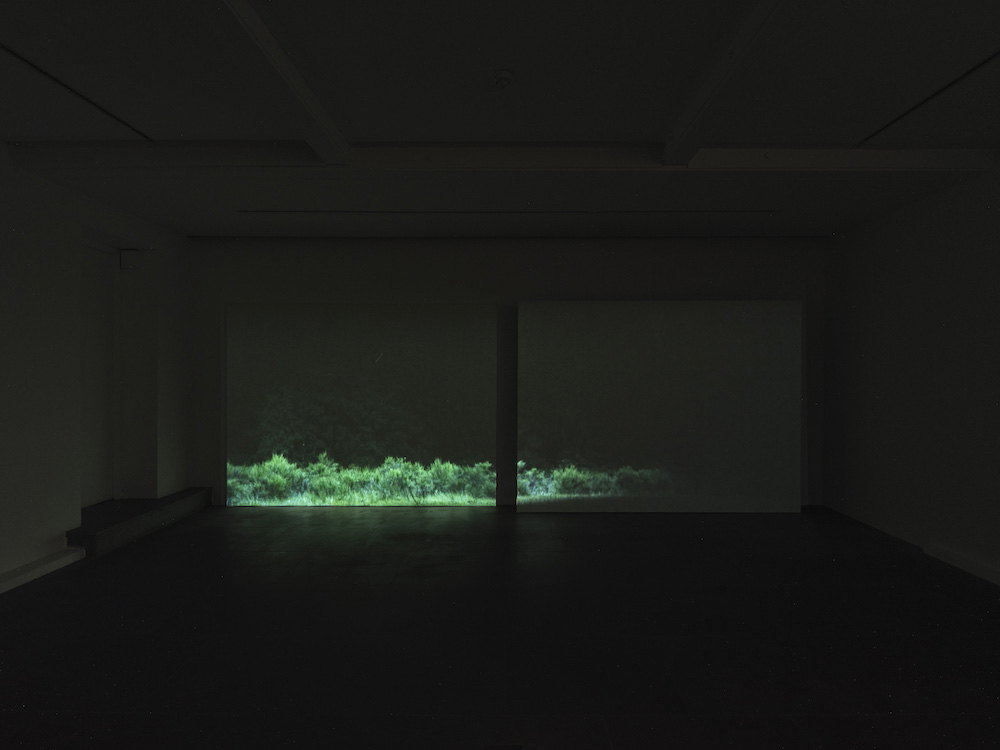 Rodney Graham Lisson Gallery 