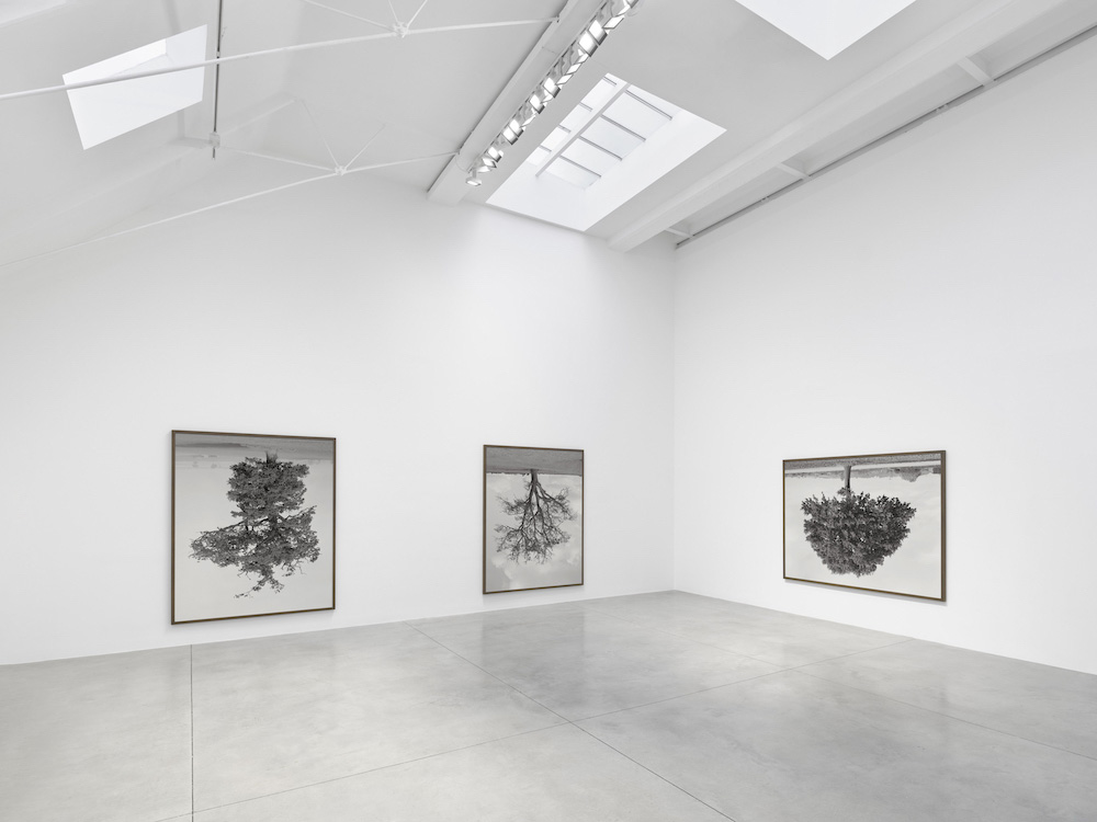 Rodney Graham Lisson Gallery 