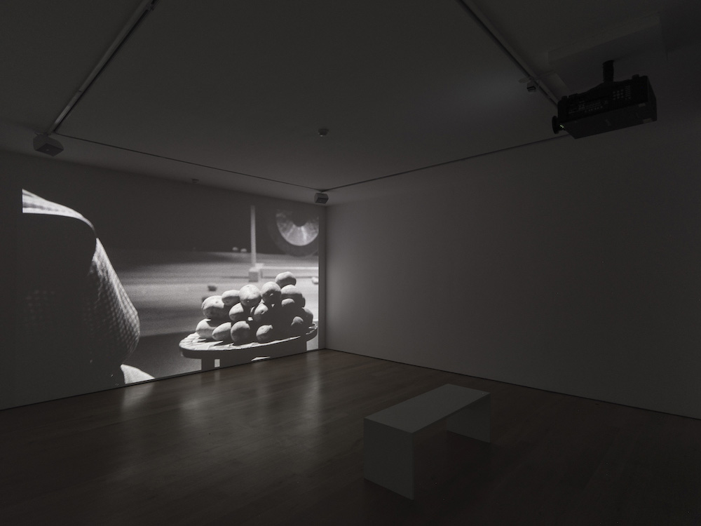 Rodney Graham Lisson Gallery 