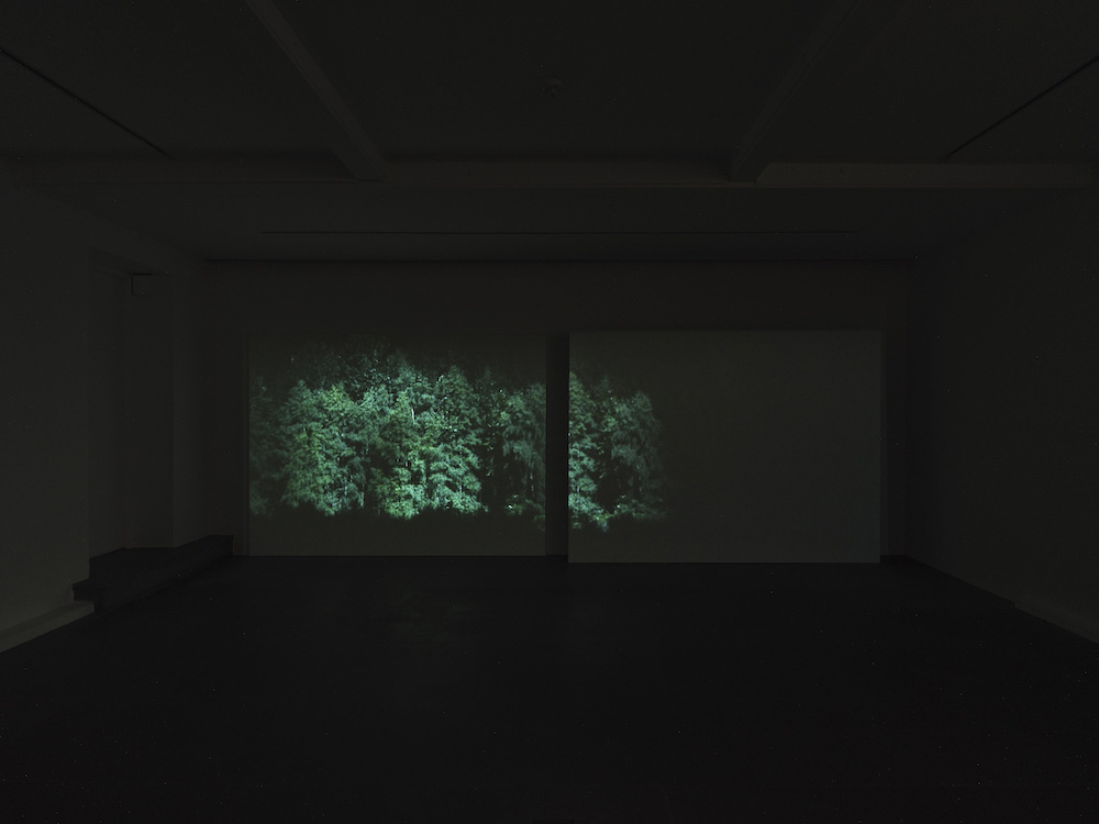 Rodney Graham Lisson Gallery 