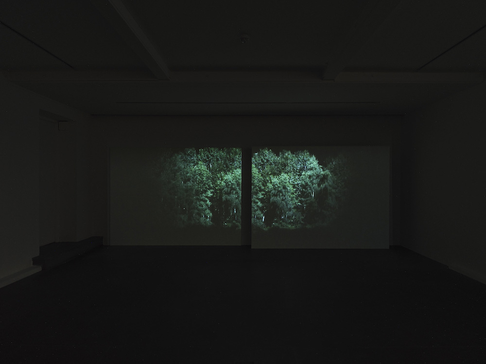 Rodney Graham Lisson Gallery 