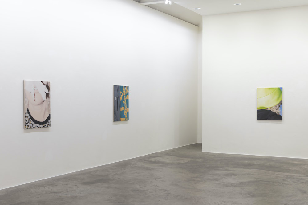 Marcel Vidal Kerlin Gallery 
