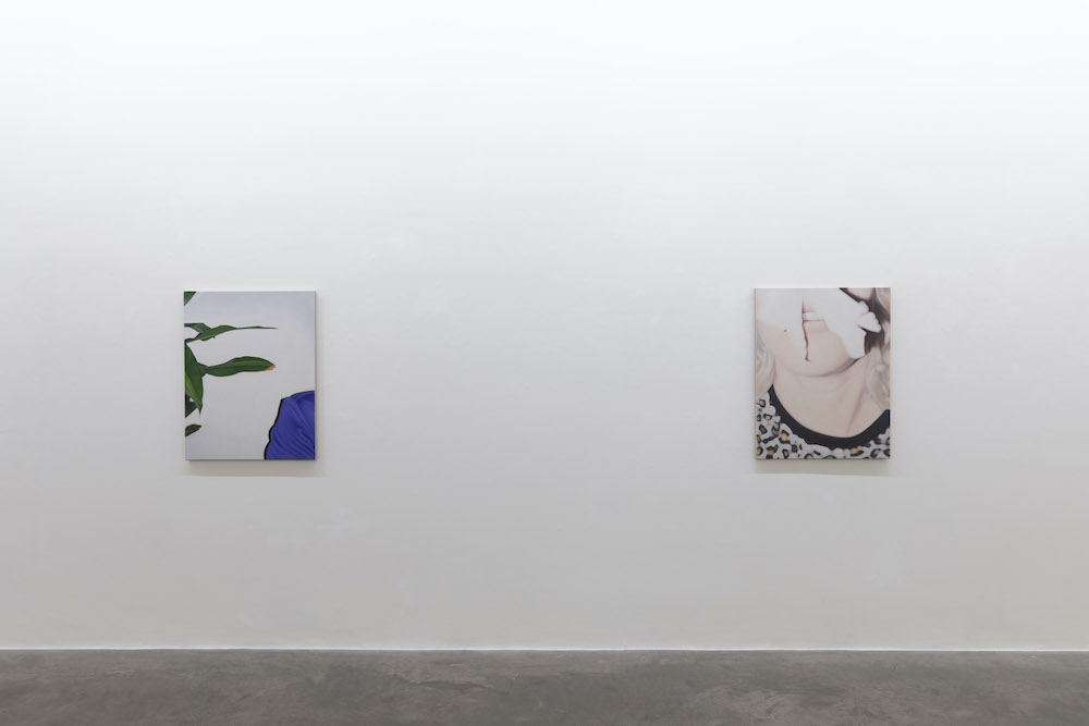 Marcel Vidal Kerlin Gallery 