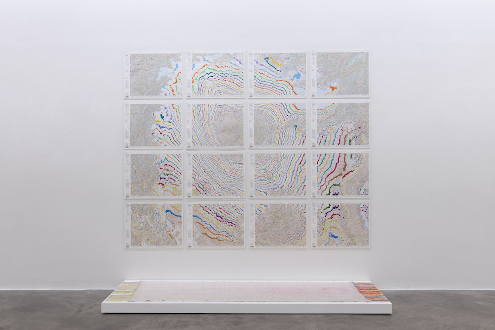 Kathy Prendergast Kerlin Gallery 