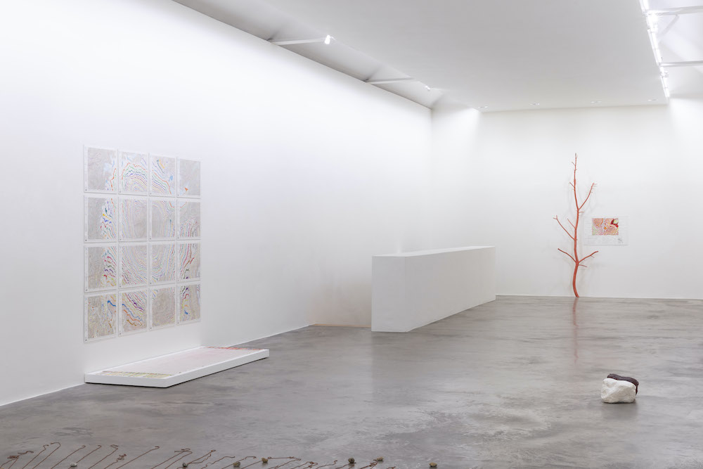 Kathy Prendergast Kerlin Gallery 