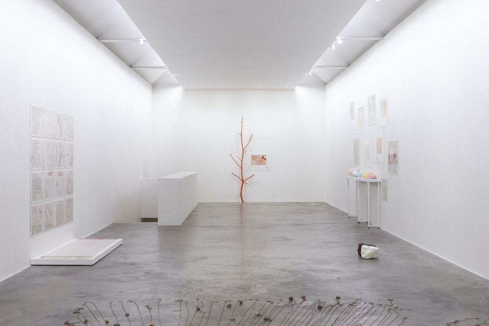 Kathy Prendergast Kerlin Gallery 