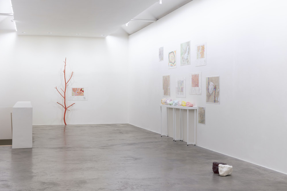 Kathy Prendergast Kerlin Gallery 
