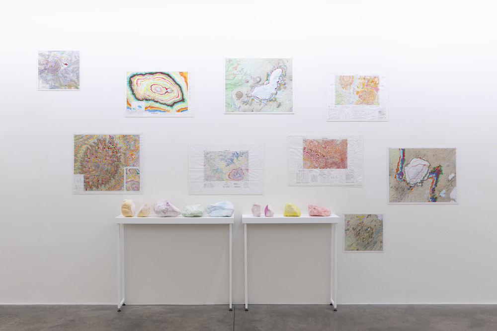 Kathy Prendergast Kerlin Gallery 