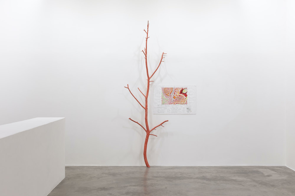 Kathy Prendergast Kerlin Gallery 