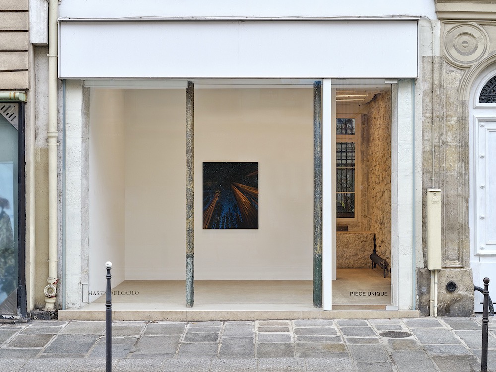 Alexis Rockman MASSIMODECARLO 