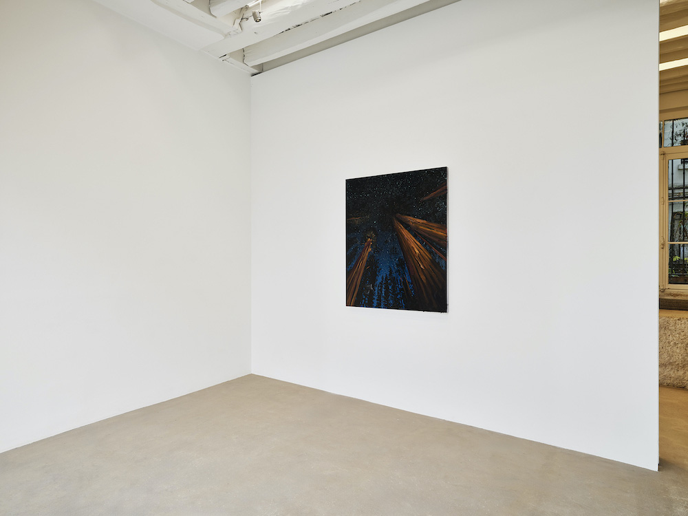 Alexis Rockman MASSIMODECARLO 