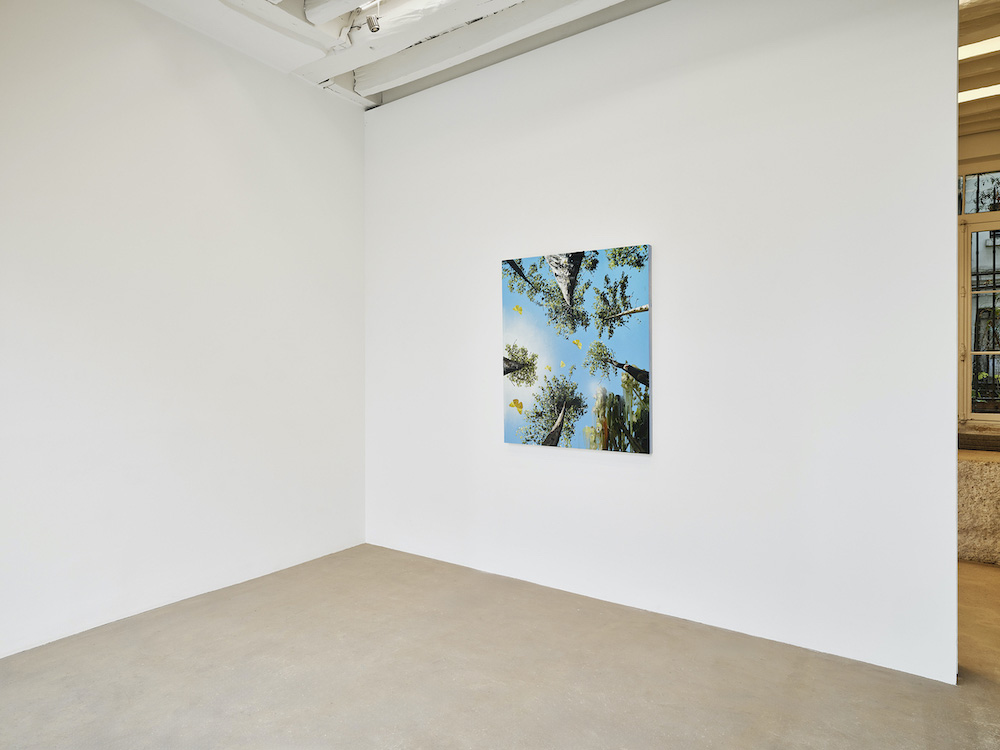 Alexis Rockman MASSIMODECARLO 