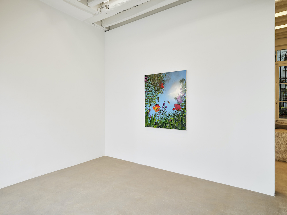 Alexis Rockman MASSIMODECARLO 