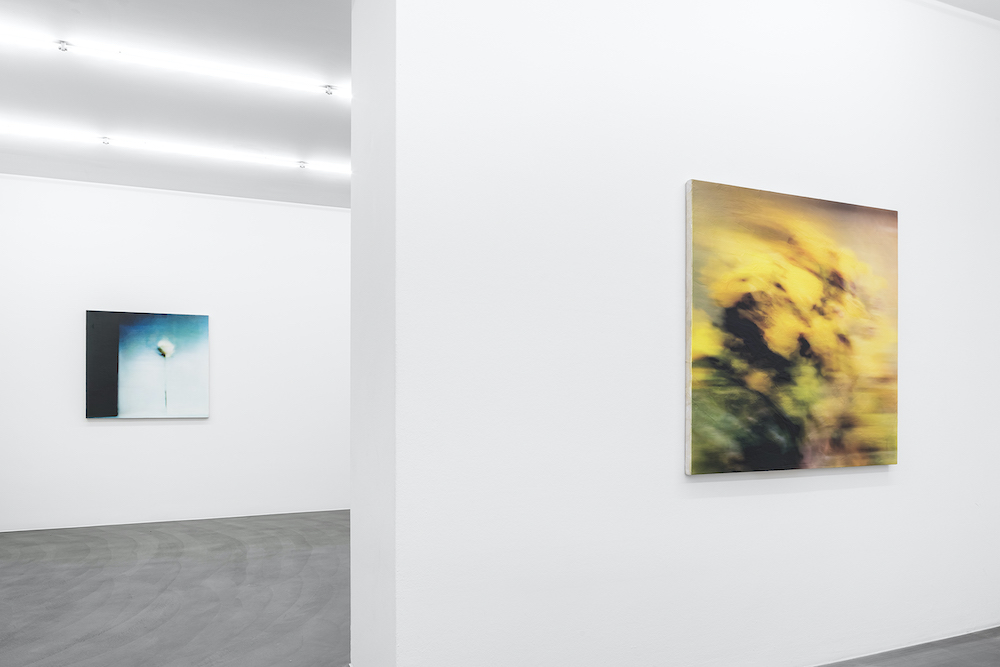 Jack Warne Mai 36 Galerie 