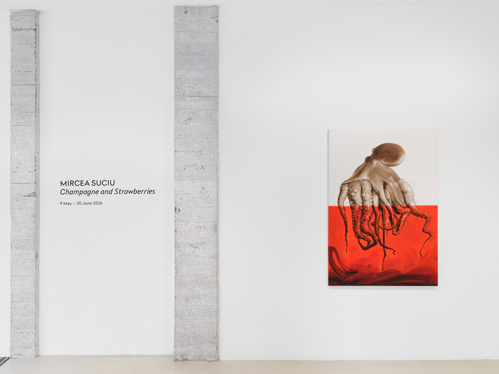 Mircea Suciu Keteleer Gallery 