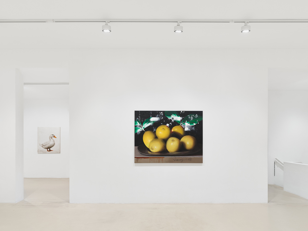 Mircea Suciu Keteleer Gallery 