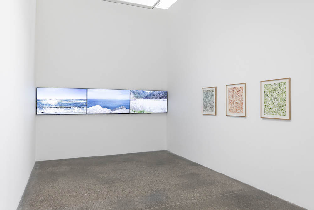 Saif Azzuz Lawrie Shabibi 