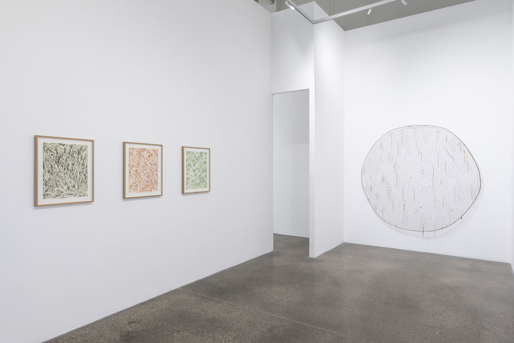 Saif Azzuz Lawrie Shabibi 