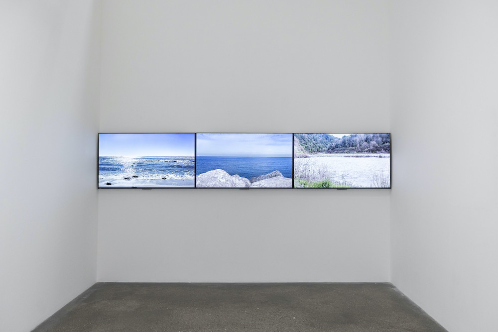 Saif Azzuz Lawrie Shabibi 